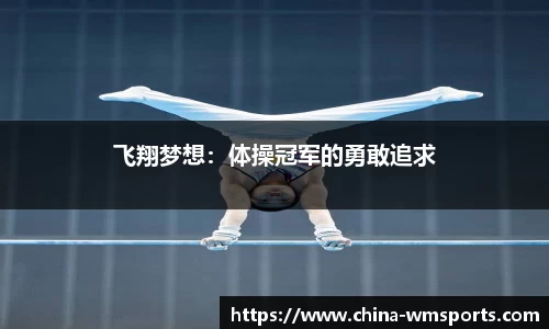 飞翔梦想：体操冠军的勇敢追求