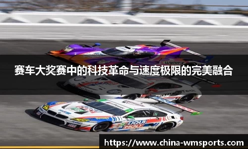 完美体育